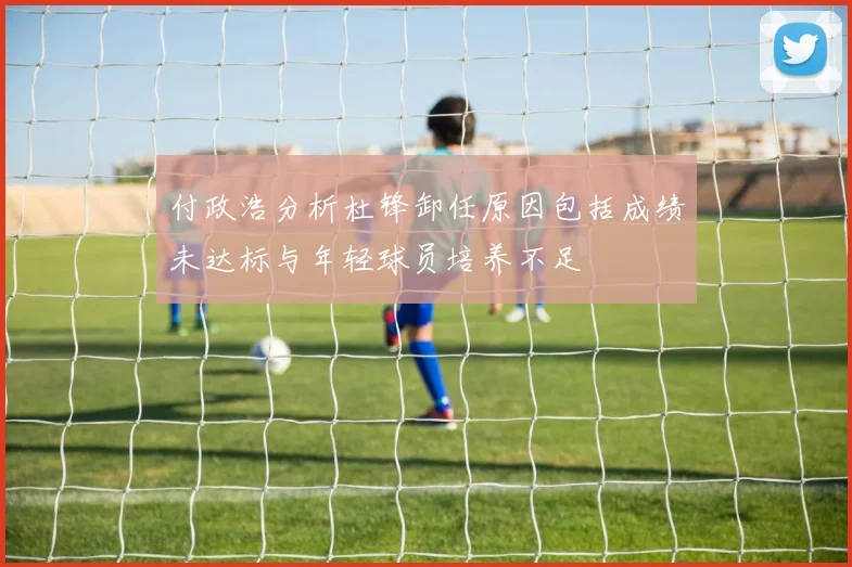 付政浩分析杜锋卸任原因包括成绩未达标与年轻球员培养不足