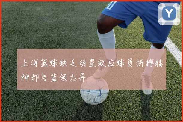 上海篮球缺乏明星效应球员拼搏精神却与蓝领无异