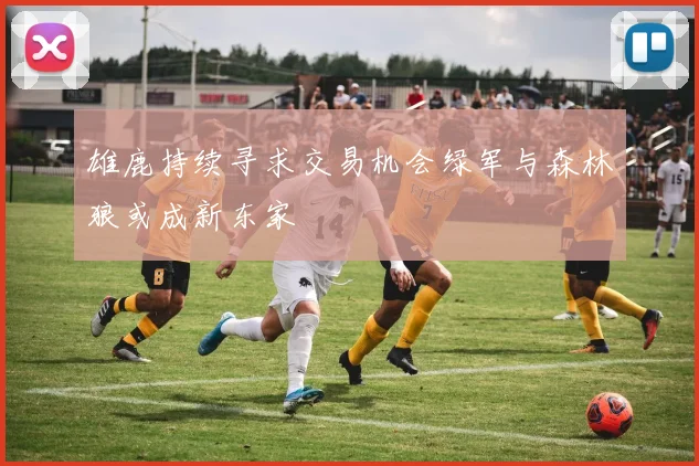 雄鹿持续寻求交易机会绿军与森林狼或成新东家
