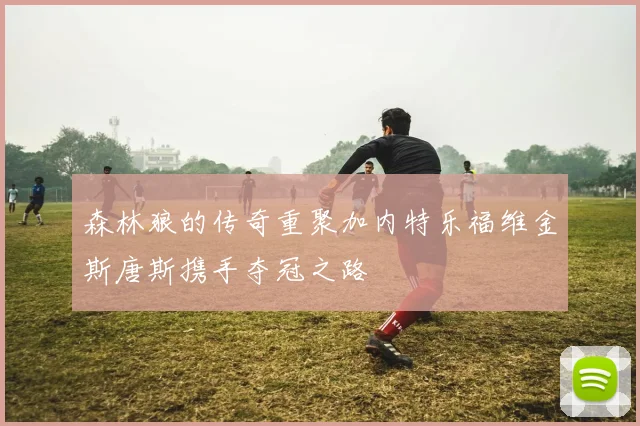 森林狼的传奇重聚加内特乐福维金斯唐斯携手夺冠之路